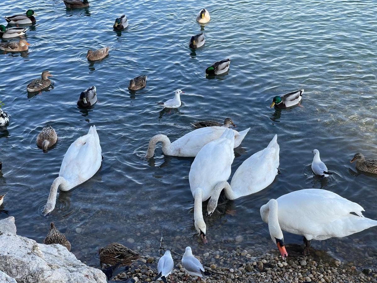 Villeneuve Loubet Plage- Entre Nice Et Cannes Exterior foto